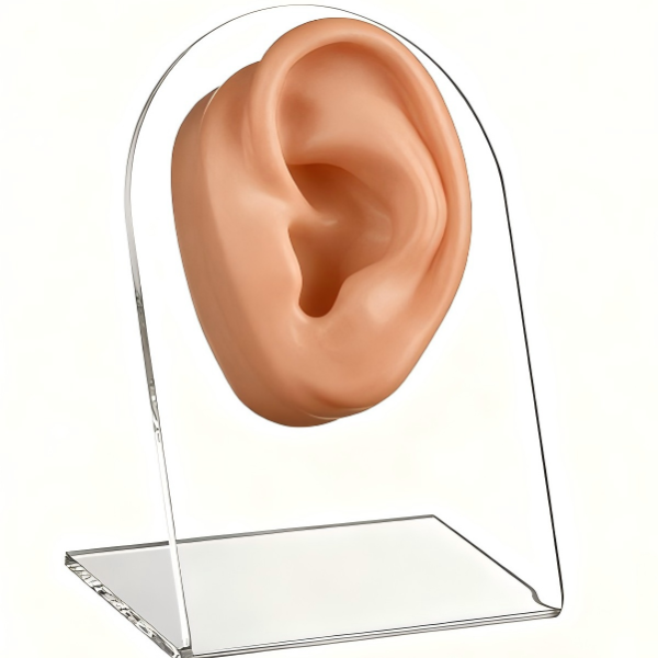 One Flesh-Colored Right Ear on Stand